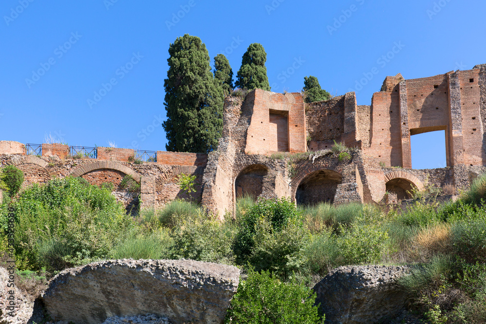 Palatine Hill, view of the ruins of several important ancient  buildings, Rome, Italy