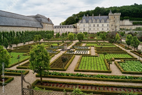 Chateau de Villandry and its Beautiful Gardens photo