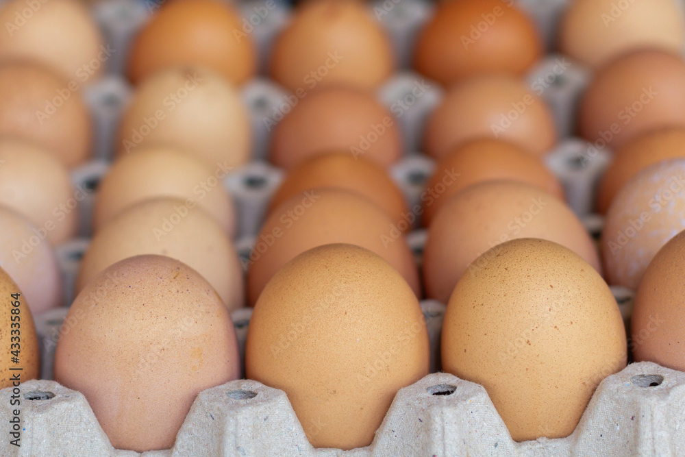 Chicken eggs in tray selection focus. Chicken eggs in tray selection focus.