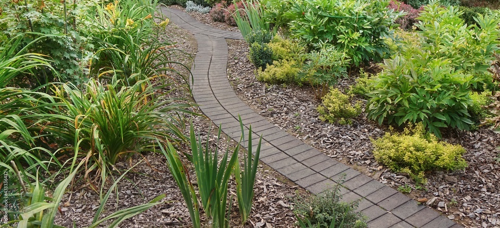 Φωτογραφία Backyard Garden Modern Design Landscaping