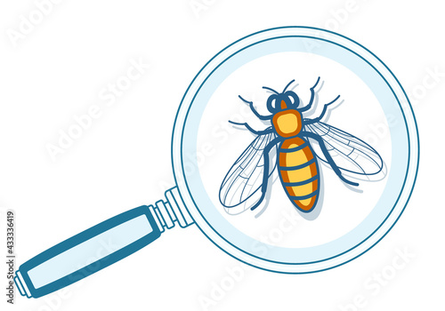 Magnifier and bee