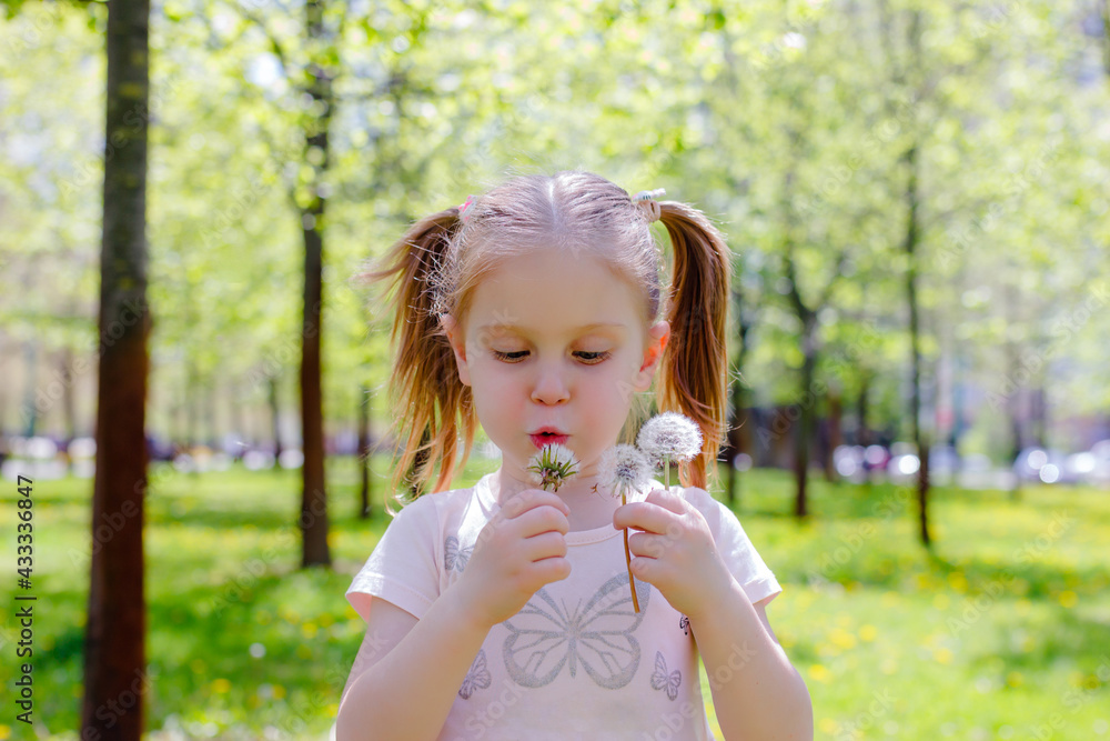 a little girl blows away dandelions on a summer day in the park. A girl in a pink dress with two ponytails on her head