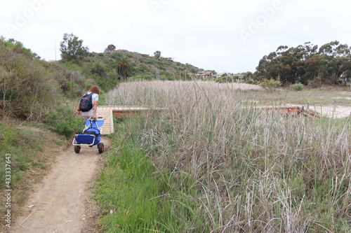 A Woman Pulling her Photography Equipment Through the Carlsbad, California, Batiquitos Lagoon Wetland in an Intertidal Zone Bay with Cattails and Reed Growing int the Fresh Runoff From the Hills photo