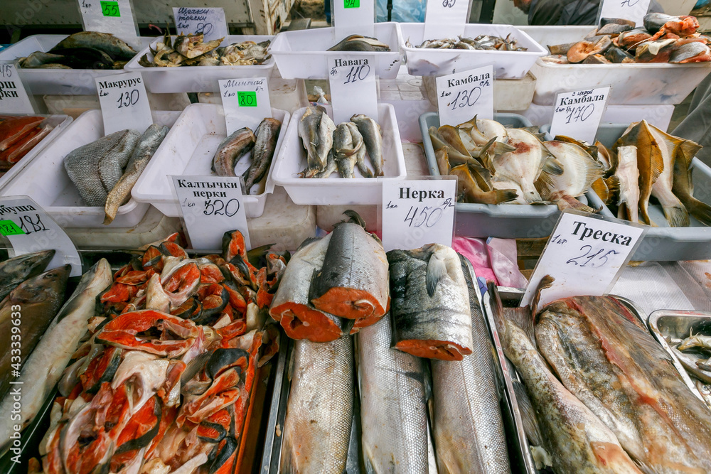 Fish market. Fresh frozen fish is in trays on the street market counter with prices. Sale of frozen fish. Fish market. Fresh frozen fish is in trays on the street market counter with prices. Sale of frozen fish.