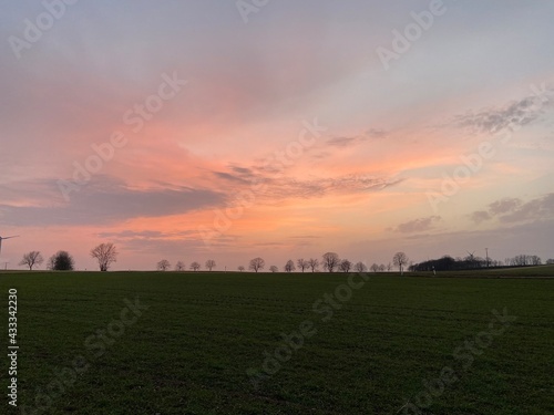 sunset over the field © Melissa