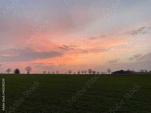 sunset over the field