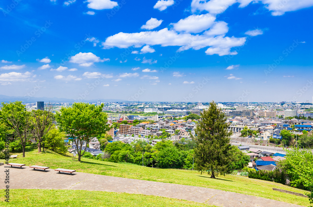 青空が広がる郊外の住宅地 青空が広がる郊外の住宅地