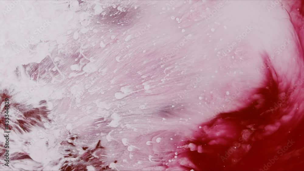 Beautiful burgundy motion effect is created out of the cloud of red and white acrylic paint. Abstract background Beautiful burgundy motion effect is created out of the cloud of red and white acrylic paint. Abstract background
