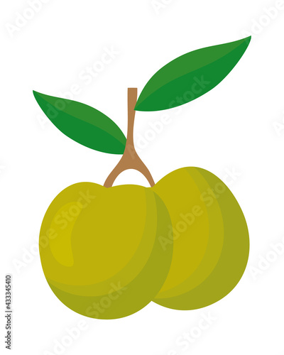 olive branch design