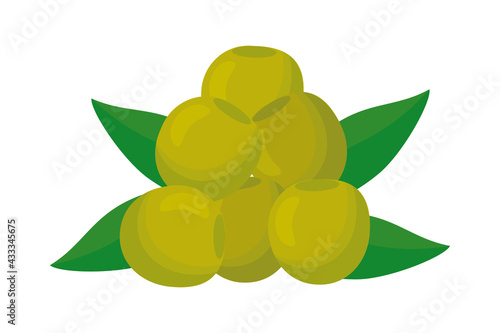 green olives illustration