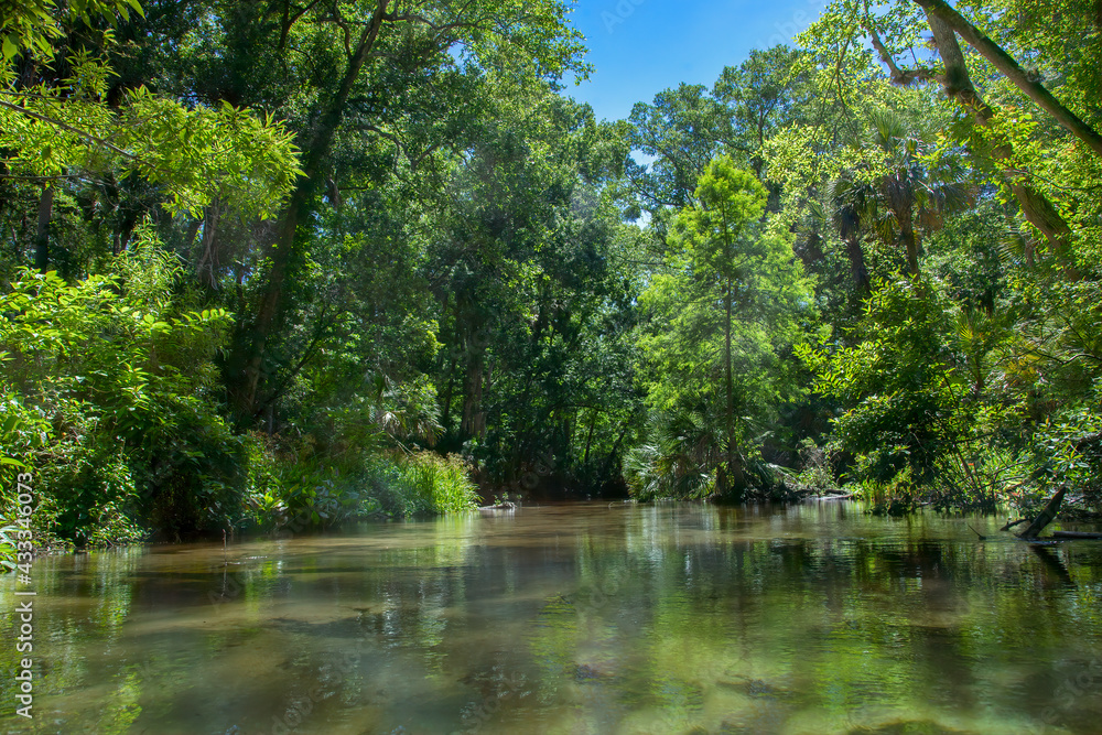 Rock Springs Run, Florida