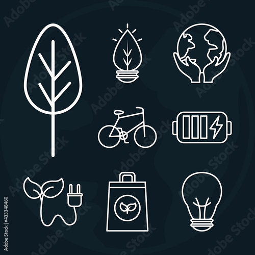 ecology and bioenergy
