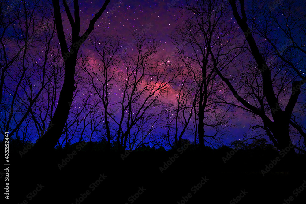 Landscape with Milky Way. Night sky with stars on the mountain Landscape with Milky Way. Night sky with stars on the mountain