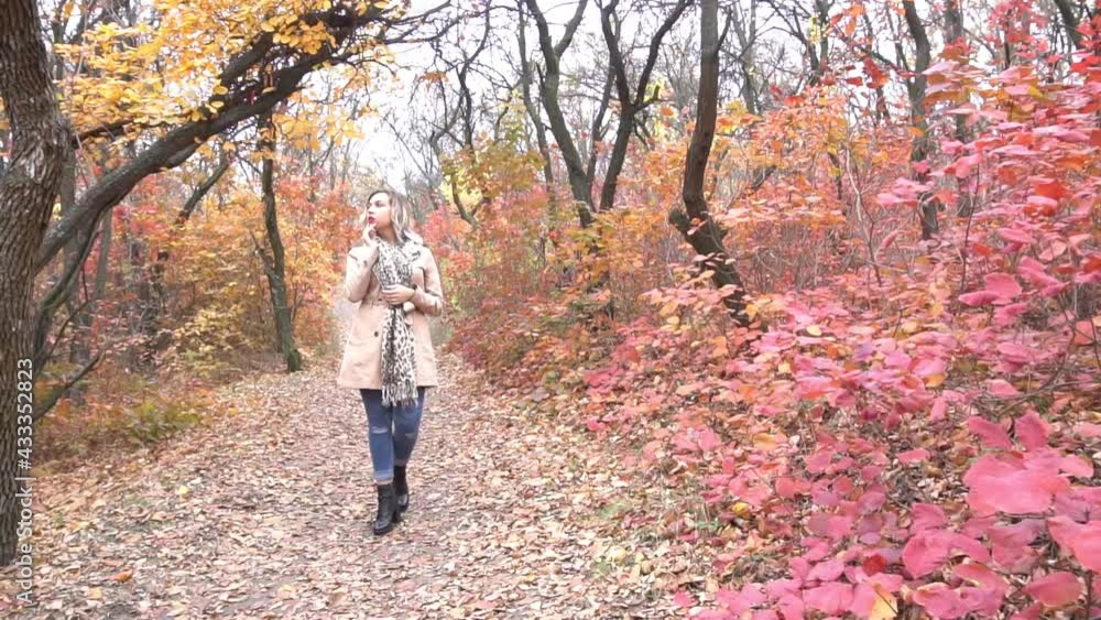Slow Motion woman goes into the distance along the autumn alley of the park Slow Motion woman goes into the distance along the autumn alley of the park