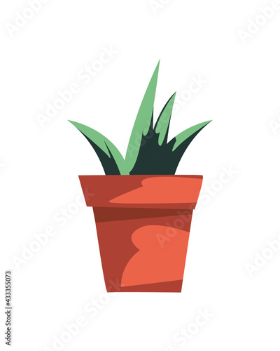 Isolated plant design