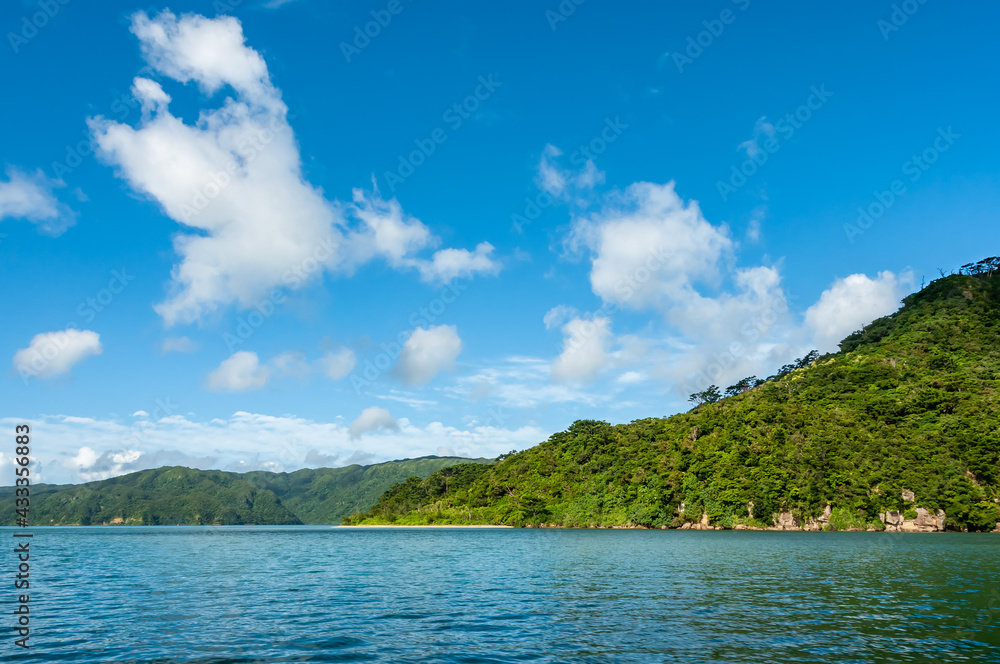 Green mountains, emerald green sea, blue sky make Iriomote Island a perfect place for boat trips and diving.