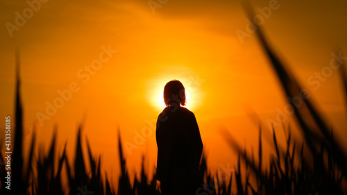 silhouette of a person in the sunset