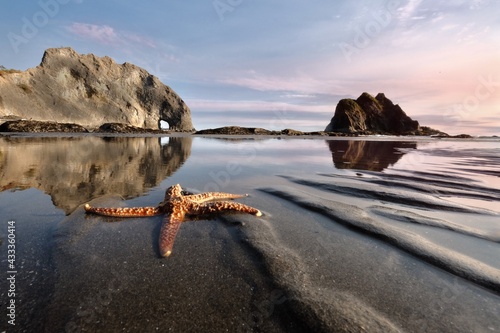 Star Fish on beach by rocks and reflections in calm water at sunset. Hole in the Wall in Rialto Beach. Olympic National Park. Washington State. USA 