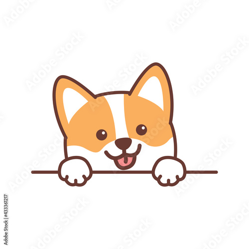 Cute welsh corgi dog paws up over wall, vector illustration