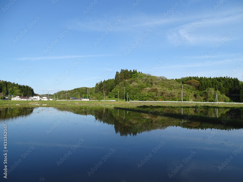 初夏の農村風景 初夏の農村風景