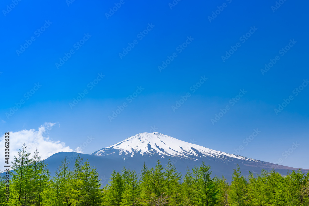 富士山御殿場新五合目の風景 富士山御殿場新五合目の風景