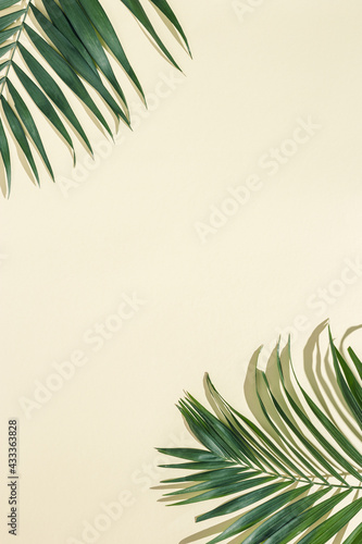Summer minimal background with natural green palm leaves with sun shadows. Pastel colored aesthetic photo with palm plant.
