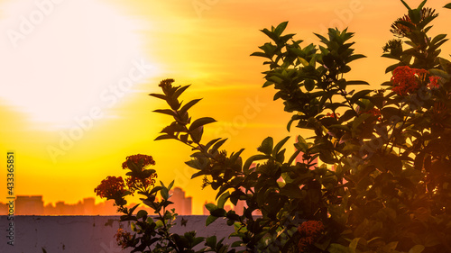 A blurry abstract view of a walkway or a treadmill on the condo and a small garden surrounded, allowing guests to exercise or view the garden in the evening