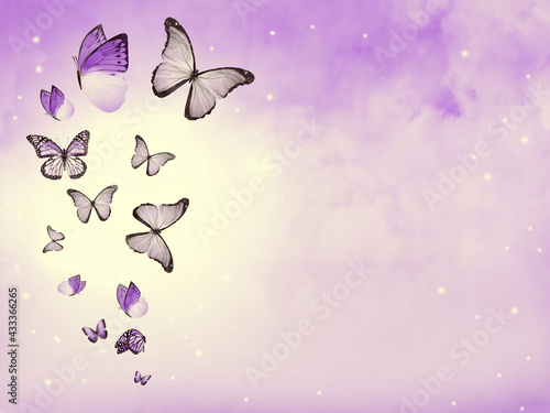 Color sky with clouds and butterflies as background