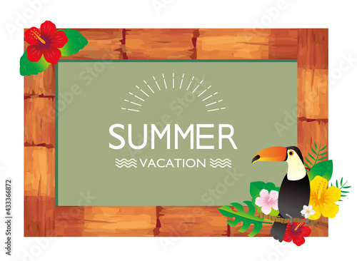 南国　亜熱帯植物　フレーム