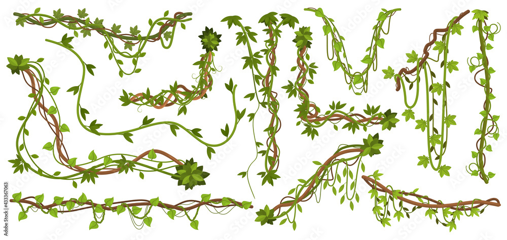 Jungle liana plants. Tropical vine branches with leaves, climbing wild liana species isolated vector illustration set. Liana tropical plants - obrazy, fototapety, plakaty 