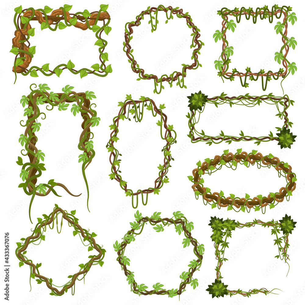 Liana vines frames. Tropical climbing rainforest plants with leaves, jungle liana plants borders vector illustration set. Green tropical hanging liana frames - obrazy, fototapety, plakaty 
