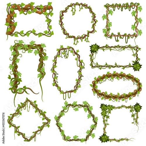 Liana vines frames. Tropical climbing rainforest plants with leaves, jungle liana plants borders vector illustration set. Green tropical hanging liana frames