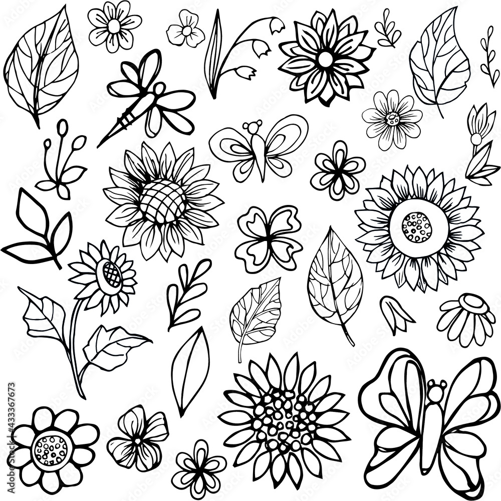 sunflower, chamomile, leaves, flowers, doodling sunflower, chamomile, leaves, flowers, doodling
