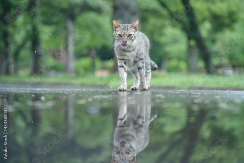 雨の中
