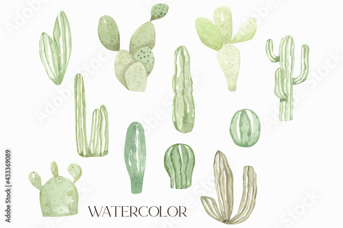 Watercolor desert collection cactus illustration