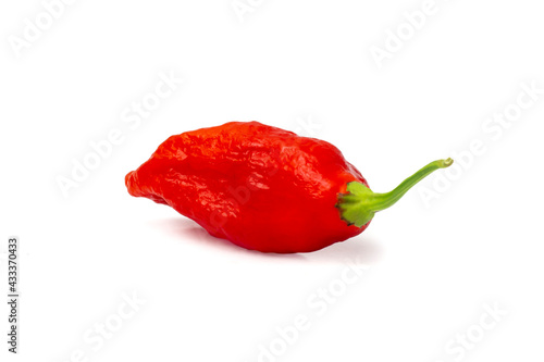 Bhut Jolokia ghost chili pepper isolate on white background with clipping paths.