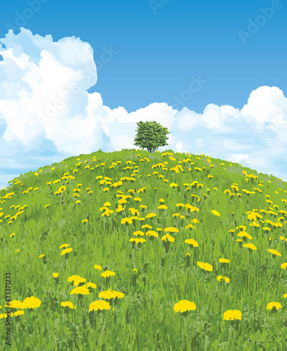 青空とたんぽぽ