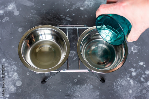 A hand pouring pure water from a glass into a bowl for a domestic cat.