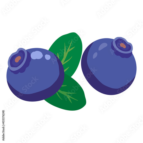 Blueberries, healthy organic nutrition product, green leaves. Vector cartoon flat trendy illustration hand drawn isolated
