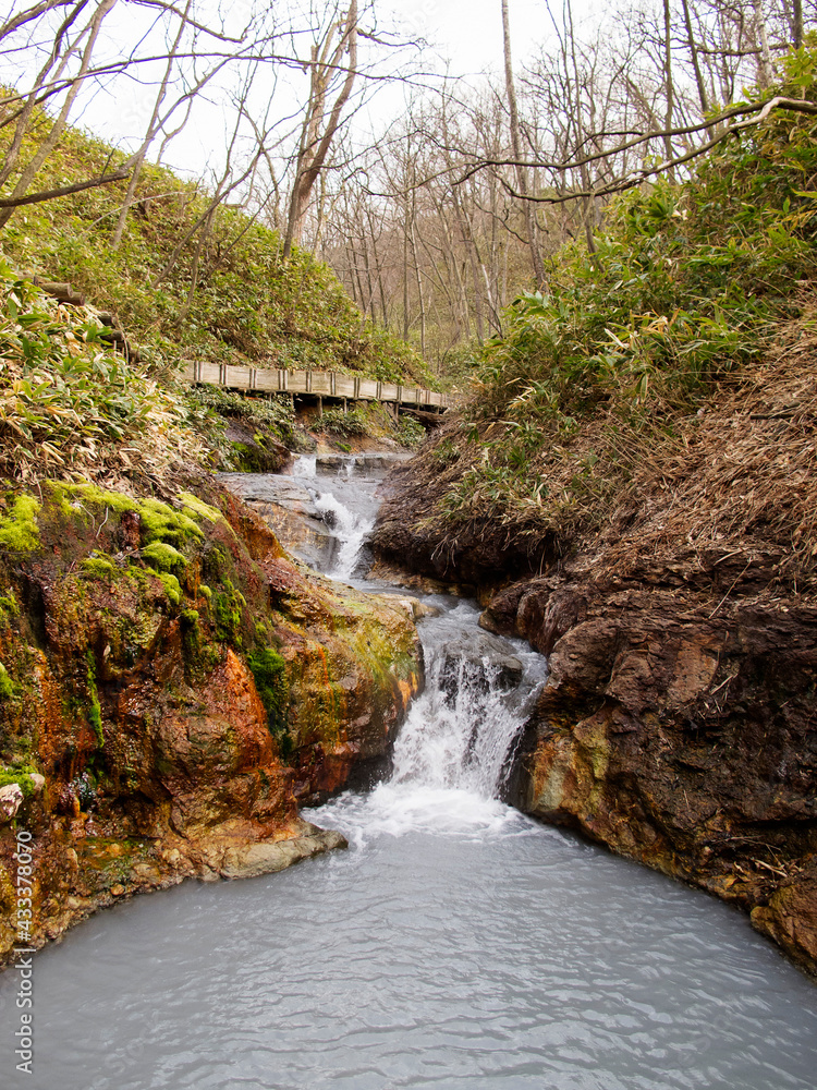 Obraz premium waterfall in the forest
