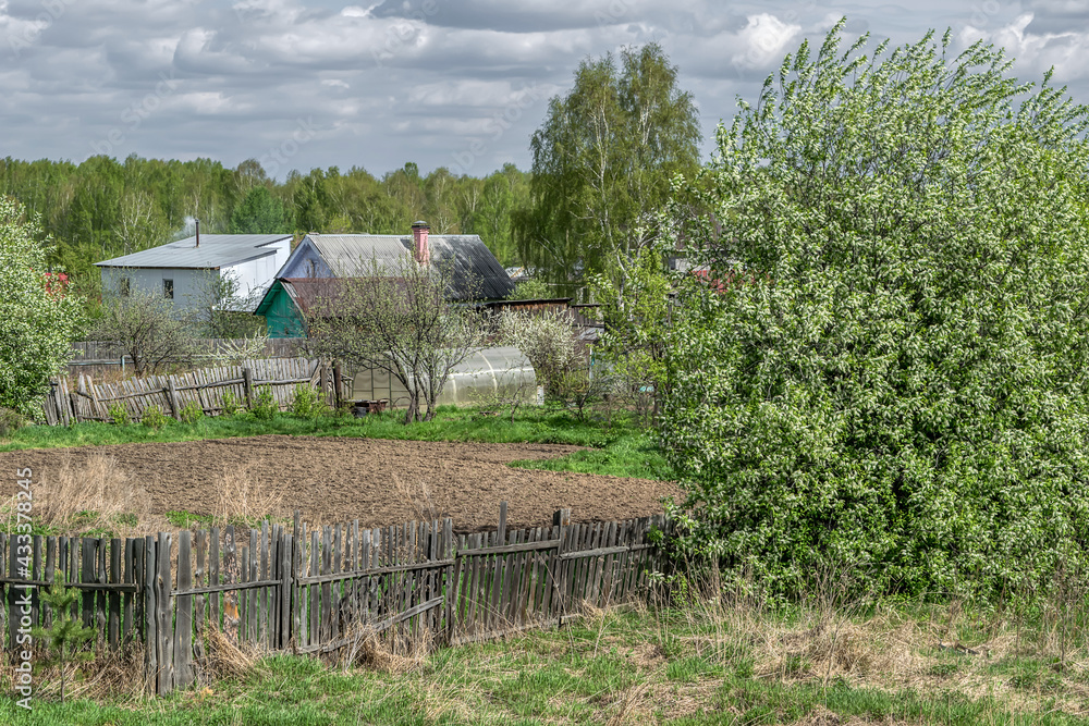Spring rural landscape. A view from the hill to the village houses with vegetable gardens and a lush tree of blooming bird cherry. Gray clouds float low above the ground and the grass turns green. 