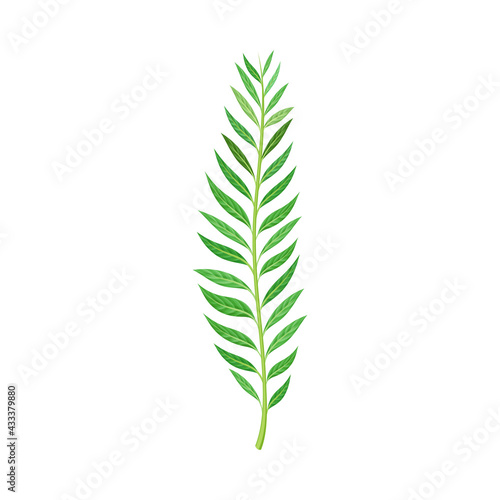 Green Leafy Stem or Stalk with Foliage and Veins Vector Illustration