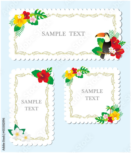 南国　亜熱帯植物　フレーム