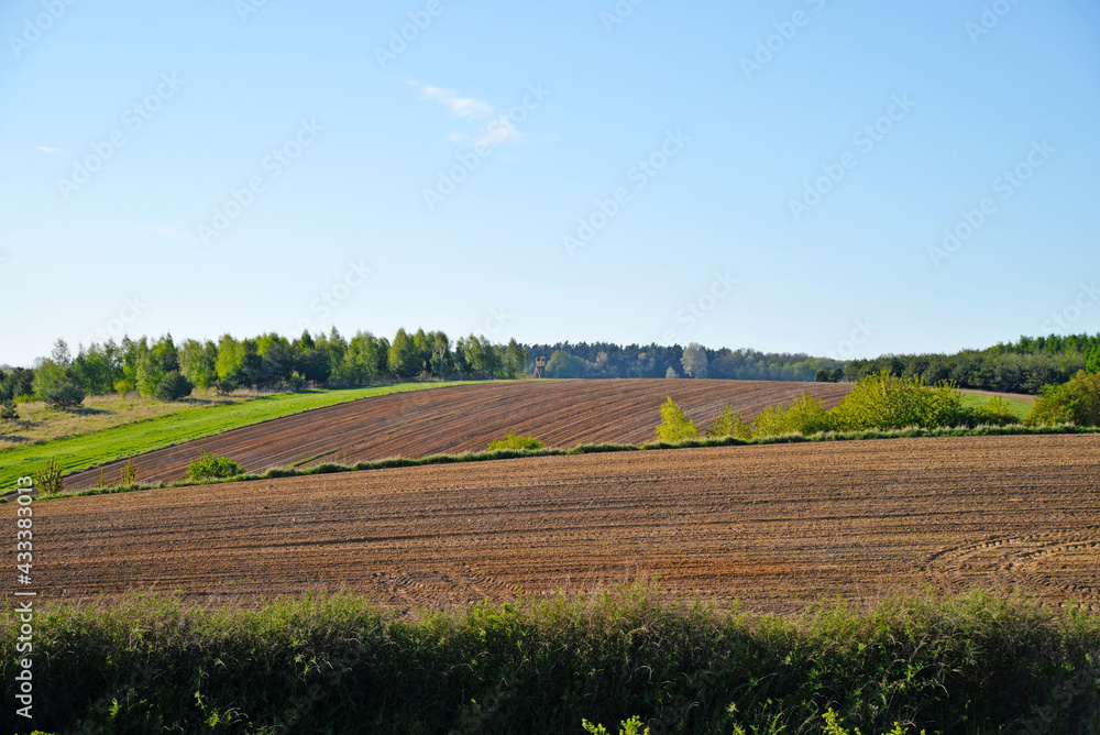 Fields and meadows Poland landscape 