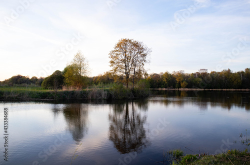 Natural landscape by the river, on a sunny spring evening, with a river, trees and grass. Spring peace and harmony has flourished.