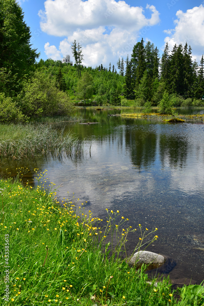 Obraz premium Landscape of the High Tatra mountains near Strbske pleso. Lake Nove Strbske. Slovakia.