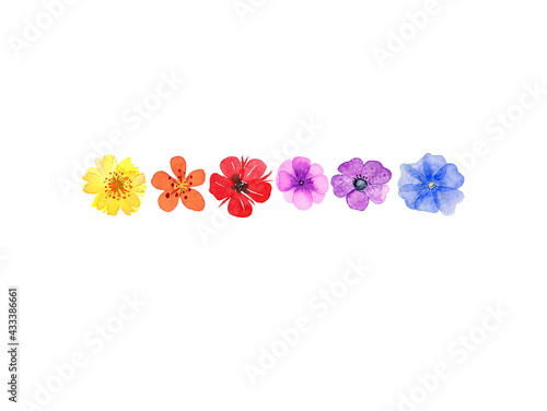 farbenfrohe Blüten, Aquarell auf Papier photo