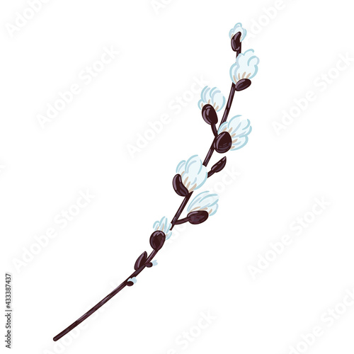 Spring willow twig blooms. Vector hand drawn Easter element isolated on white background.