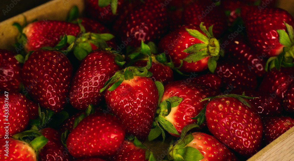 strawberries close up photo. strawberries close up photo.