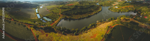 Aerial view of Tam Chau tea plantation in Bao Loc city, Lam Dong province, Vietnam